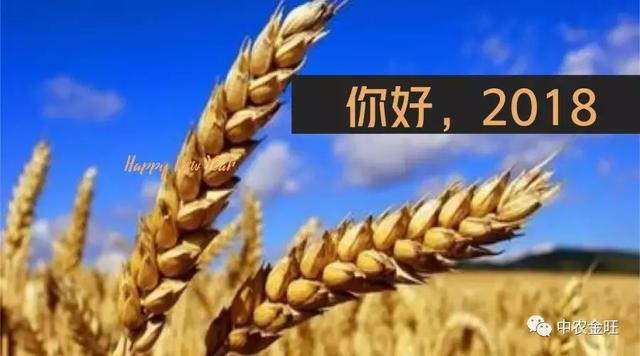图片78.png
