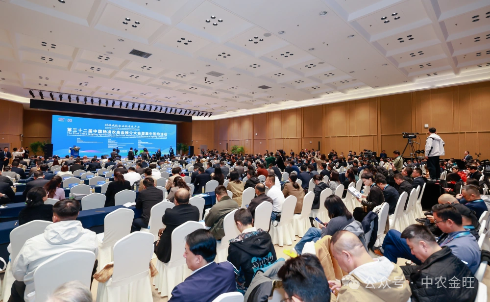 1761719726597237.png 1761719726597237.png