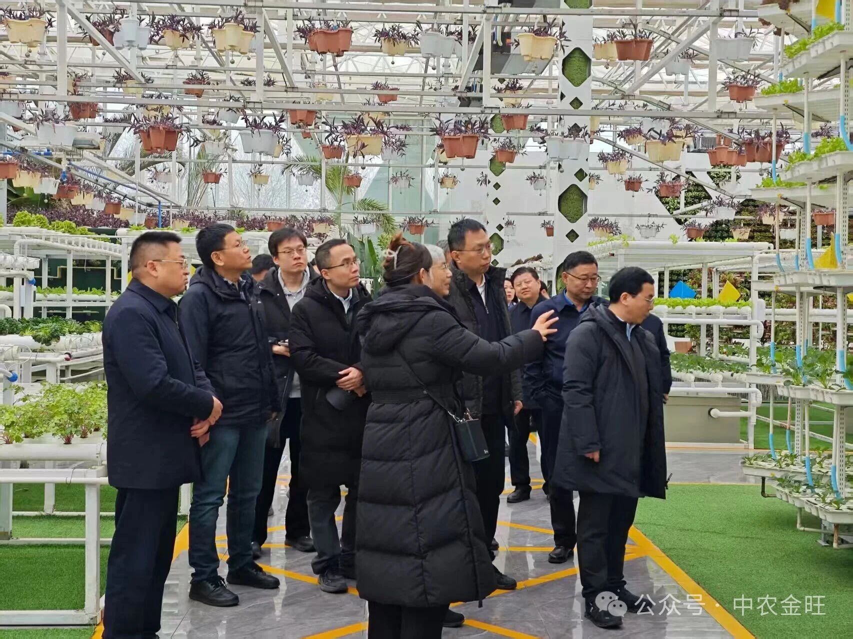 1764750363163867.jpg 1764750363163867.jpg