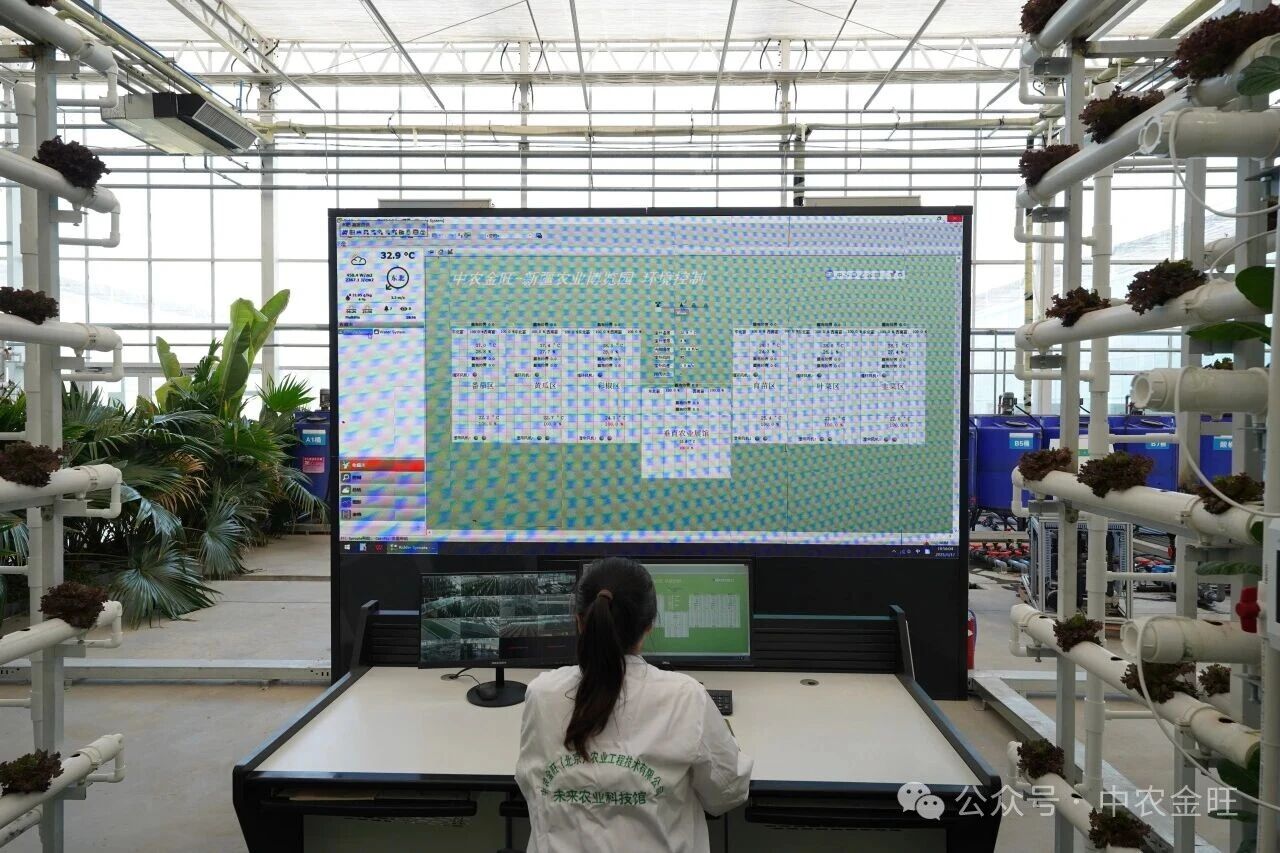 1764750395507623.jpg 1764750395507623.jpg