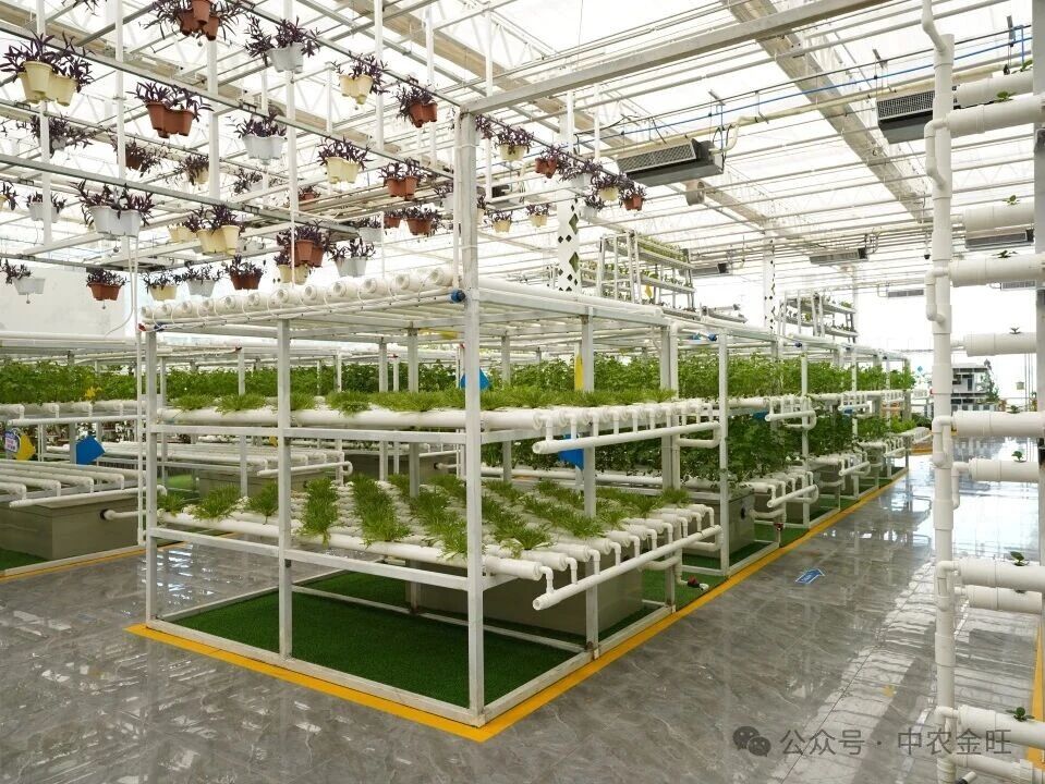 1764750481129515.jpg 1764750481129515.jpg