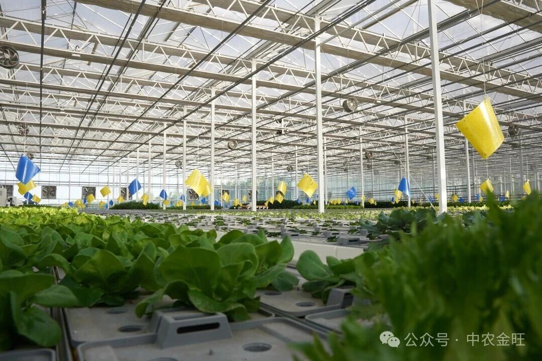 1764750500773104.jpg 1764750500773104.jpg