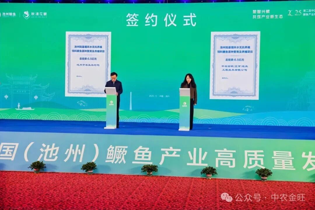 1765940663204130.jpg 1765940663204130.jpg