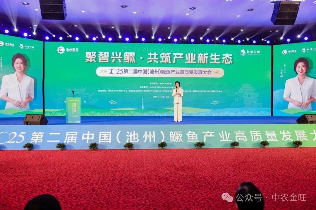 1765940703285021.jpg 1765940703285021.jpg