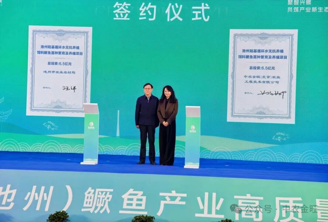 1765940762813748.jpg 1765940762813748.jpg